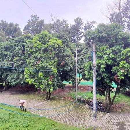 דהראדון Nature View Homestay מראה חיצוני תמונה